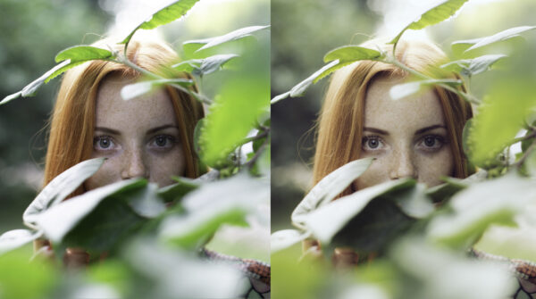 Sunlight Lightroom CC - Image 3