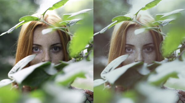 Sunlight Lightroom CC - Image 4