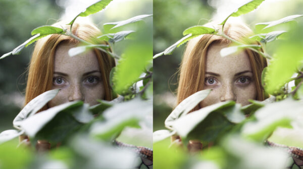 Sunlight Lightroom CC - Image 5
