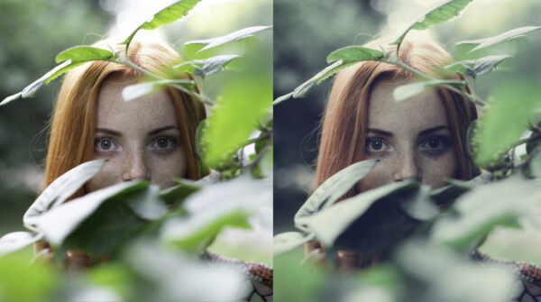 Sunlight Lightroom CC - Image 6