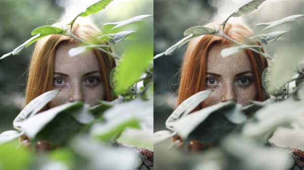 Sunlight Lightroom CC - Image 7